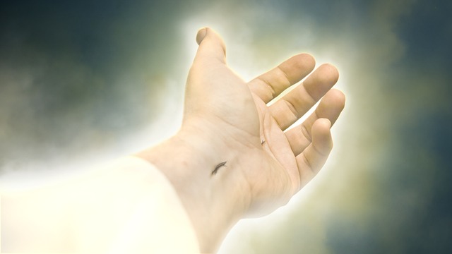 O Novo Testamento é repleto de uma riqueza teológica que moldou a compreensão do cristianismo ao longo dos séculos.
