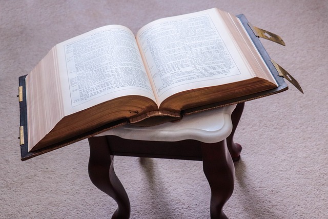 O livro de Êxodo relata a impressionante jornada do povo de Israel desde a escravidão no Egito até o limiar da Terra Prometida.