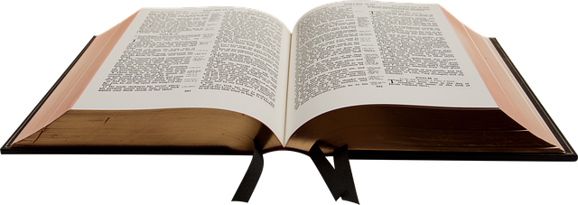 25# Dia de Estudo Bíblico: Conclusão da Série sobre Êxodo: Gratidão por Deus e Sua Fidelidade